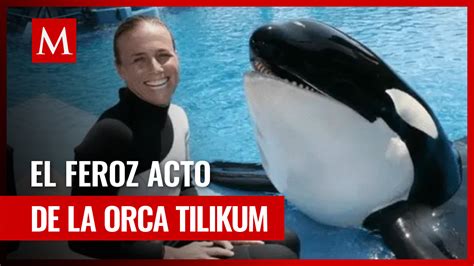 orca tilikum mata a su entrenadora